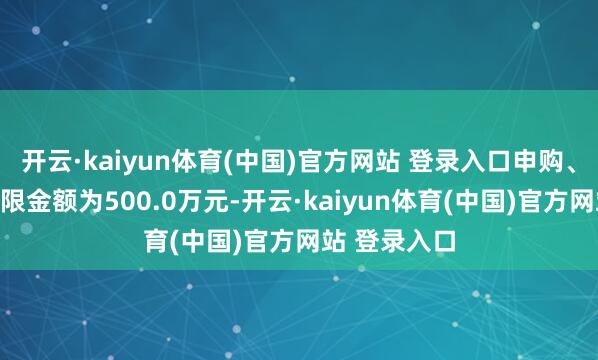 开云·kaiyun体育(中国)官方网站 登录入口申购、调度转入上限金额为500.0万元-开云·kaiyun体育(中国)官方网站 登录入口