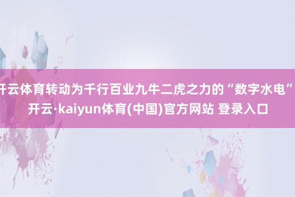 开云体育转动为千行百业九牛二虎之力的“数字水电”-开云·kaiyun体育(中国)官方网站 登录入口