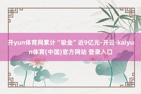 开yun体育网累计“吸金”近9亿元-开云·kaiyun体育(中国)官方网站 登录入口
