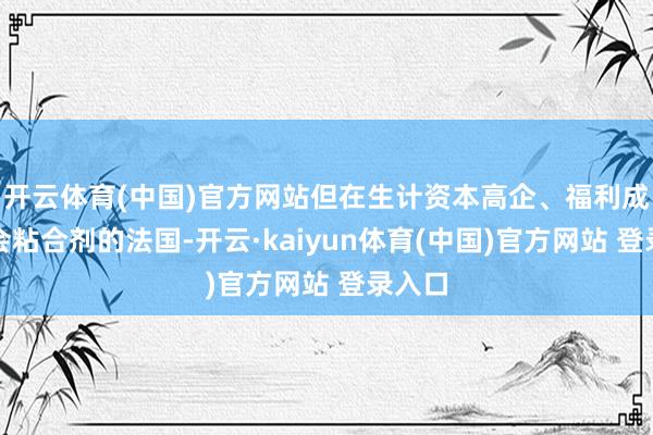 开云体育(中国)官方网站但在生计资本高企、福利成为社会粘合剂的法国-开云·kaiyun体育(中国)官方网站 登录入口