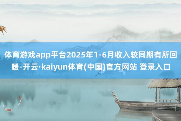 体育游戏app平台2025年1-6月收入较同期有所回暖-开云·kaiyun体育(中国)官方网站 登录入口